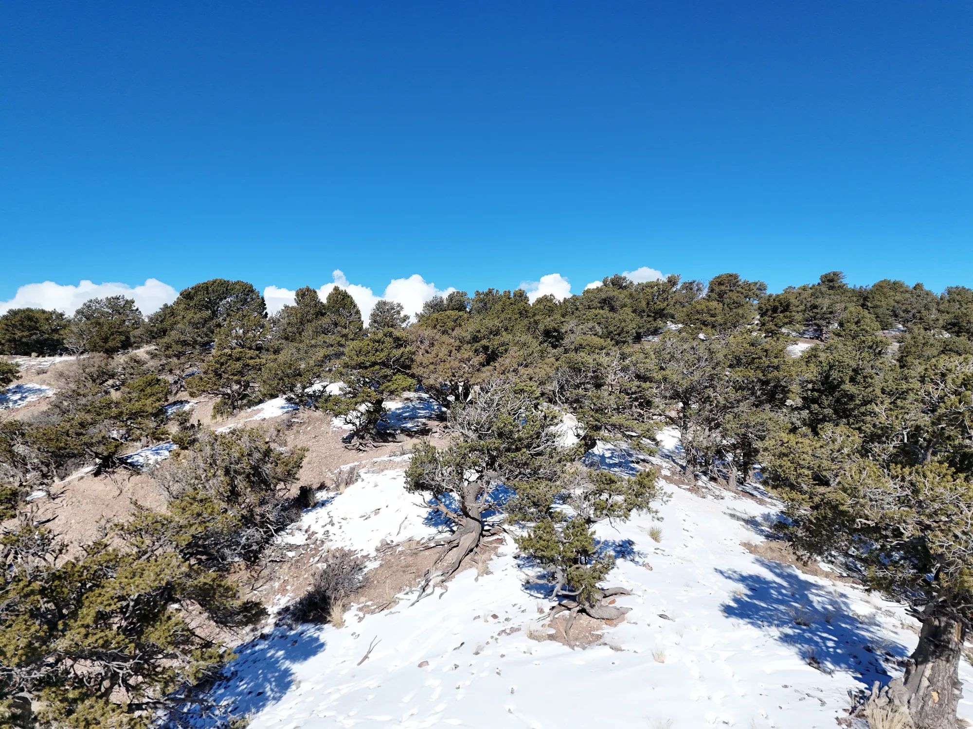 5 Acres With Direct Road Access (With Adjacent Lot Available!) in Costilla County, CO