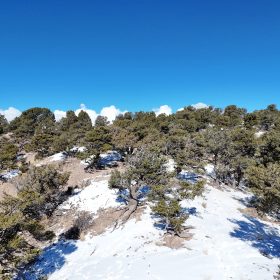 5 Acres With Direct Road Access (With Adjacent Lot Available!) in Costilla County, CO