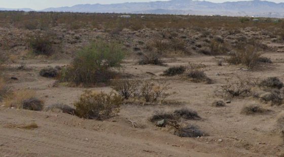 Retire Somewhere Peacefulβ 2.35-Acre Arizona Land Without the Chaos in Mohave County, AZ