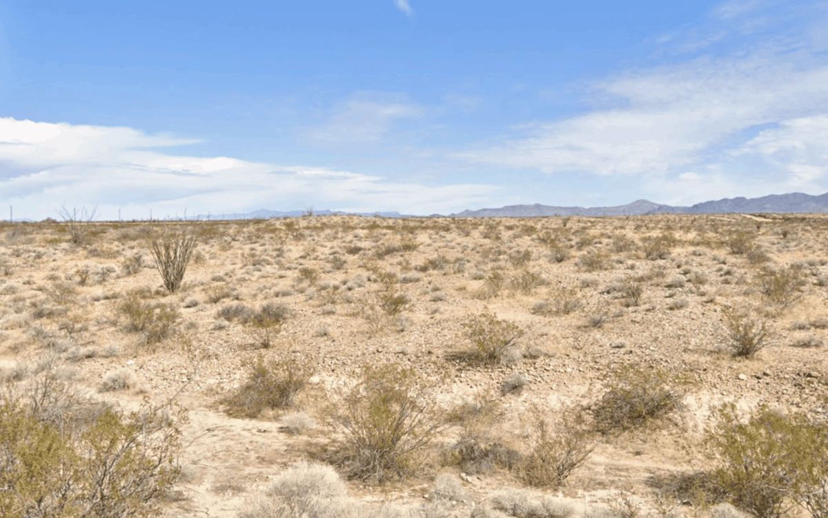 Decorative background for 2.35 Acres Lots Just Minutes to Yucca and Kingman, AZ image 6