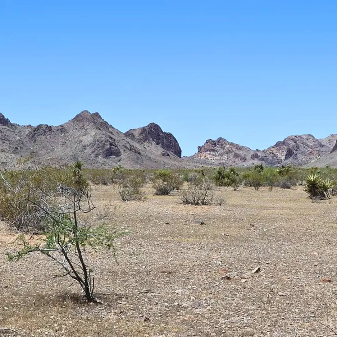 1.15-Acre Mohave, AZ Private Campsite