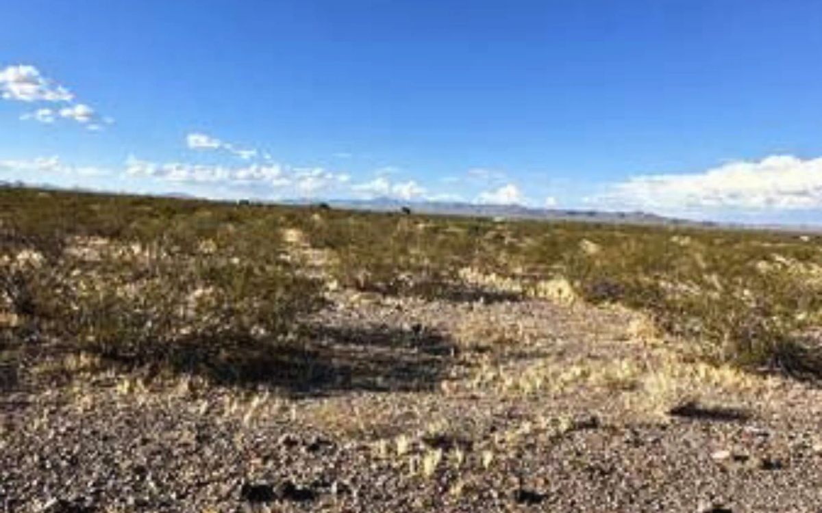 1.15-Acre Mohave, AZ Private Campsite - Image 2