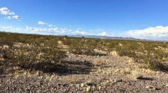 1.15-Acre Mohave, AZ Private Campsite in Mohave County, AZ