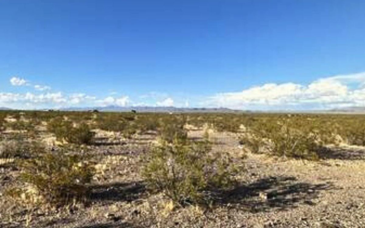 1.15-Acre Mohave, AZ Private Campsite - Image 3