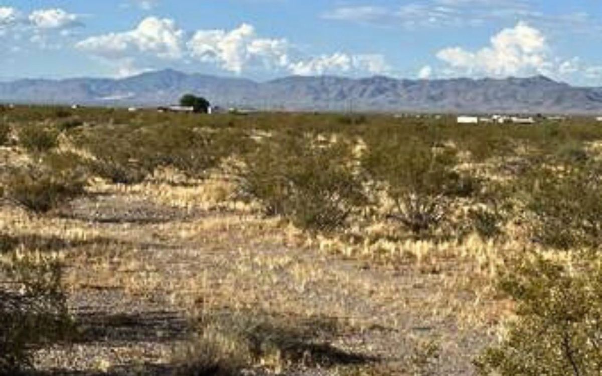 Decorative background for 1.15-Acre Mohave, AZ Private Campsite image 5