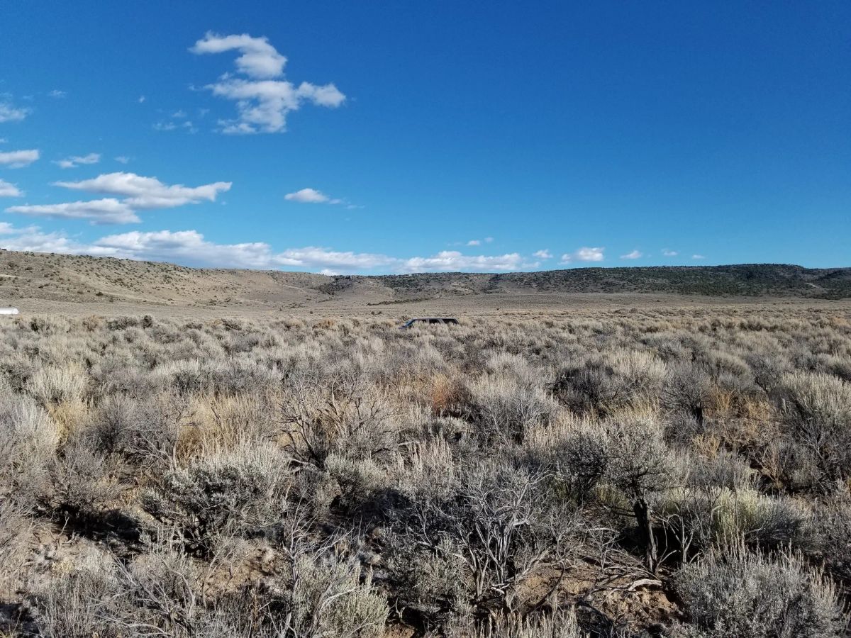 Own This 2.53-Acre Colorado Escape — Mountain Views & Endless Freedom Await - Image 2