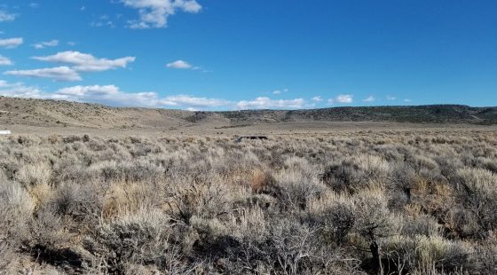 Own This 2.53-Acre Colorado Escape — Mountain Views & Endless Freedom Await in Costilla County, CO