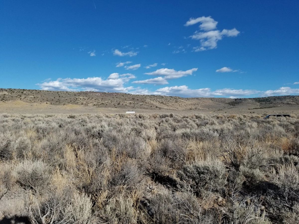 Own This 2.53-Acre Colorado Escape — Mountain Views & Endless Freedom Await - Image 3