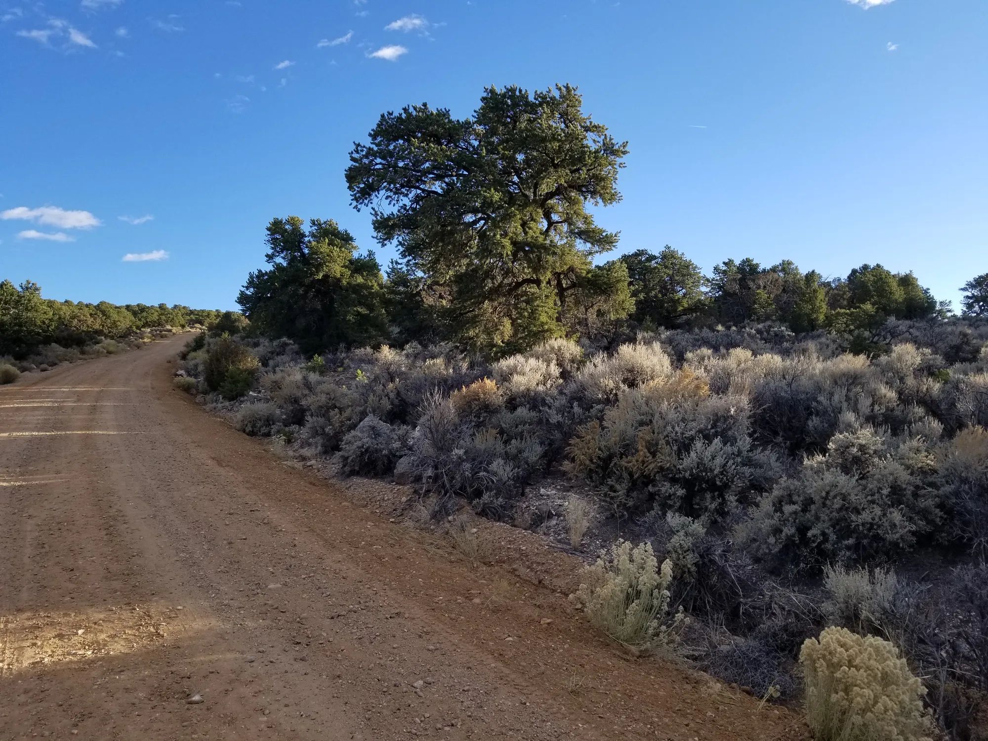Own This 2.53-Acre Colorado Escape — Mountain Views & Endless Freedom Await in Costilla County, CO