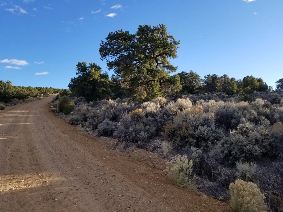 Own This 2.53-Acre Colorado Escape — Mountain Views & Endless Freedom Await - Image 4