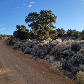 Own This 2.53-Acre Colorado Escape — Mountain Views & Endless Freedom Await in Costilla County, CO