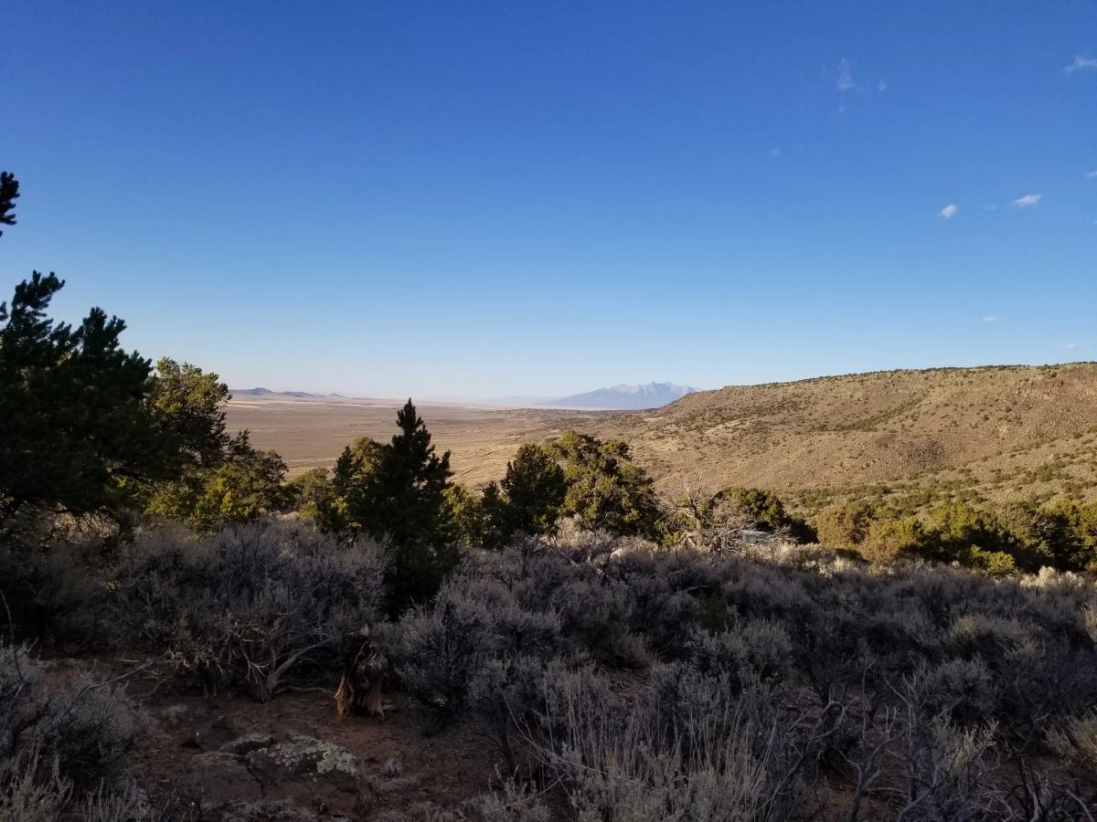 Decorative background for Own This 2.53-Acre Colorado Escape — Mountain Views & Endless Freedom Await image 5