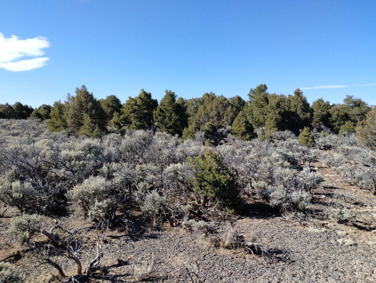 Own This 2.53-Acre Colorado Escape — Mountain Views & Endless Freedom Await - Main image
