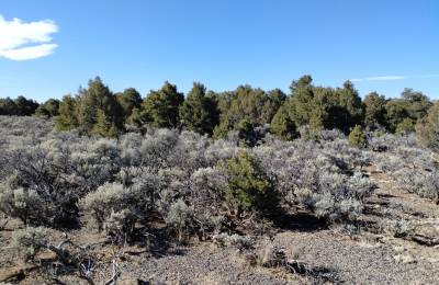 Own This 2.53-Acre Colorado Escape — Mountain Views & Endless Freedom Await