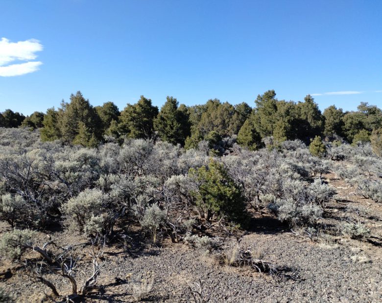 Own This 2.53-Acre Colorado Escape — Mountain Views & Endless Freedom Await in Costilla County, CO