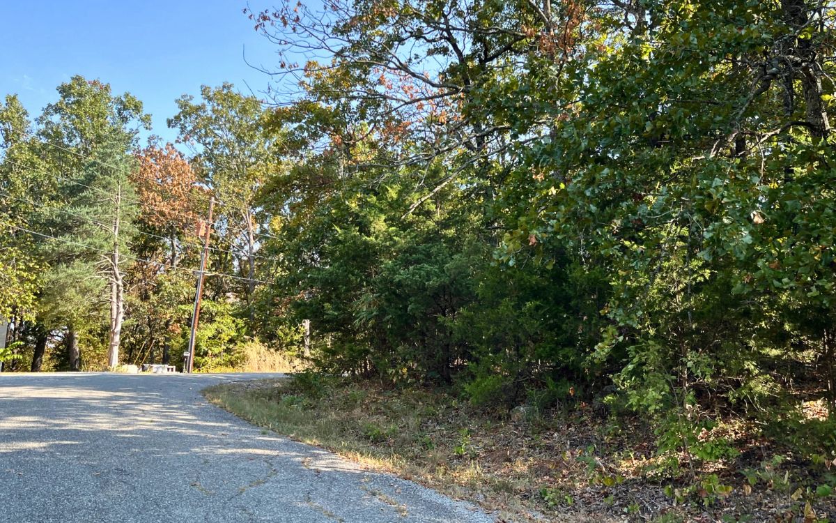 Your 0.43-Acre Ozarks Escape Starts Here! - Image 2
