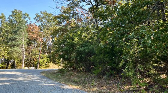 Your 0.43-Acre Ozarks Escape Starts Here! in Izard County, AR