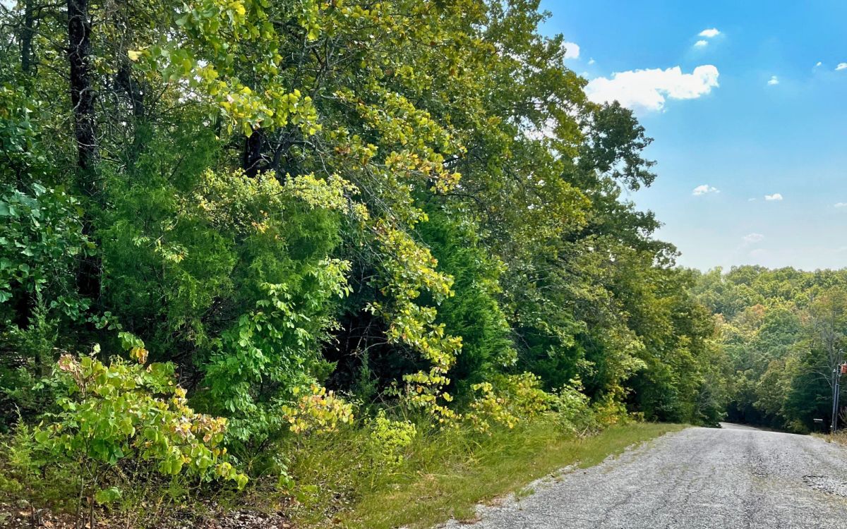 Your 0.43-Acre Ozarks Escape Starts Here! - Image 3