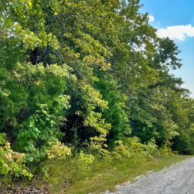 Your 0.43-Acre Ozarks Escape Starts Here! in Izard County, AR