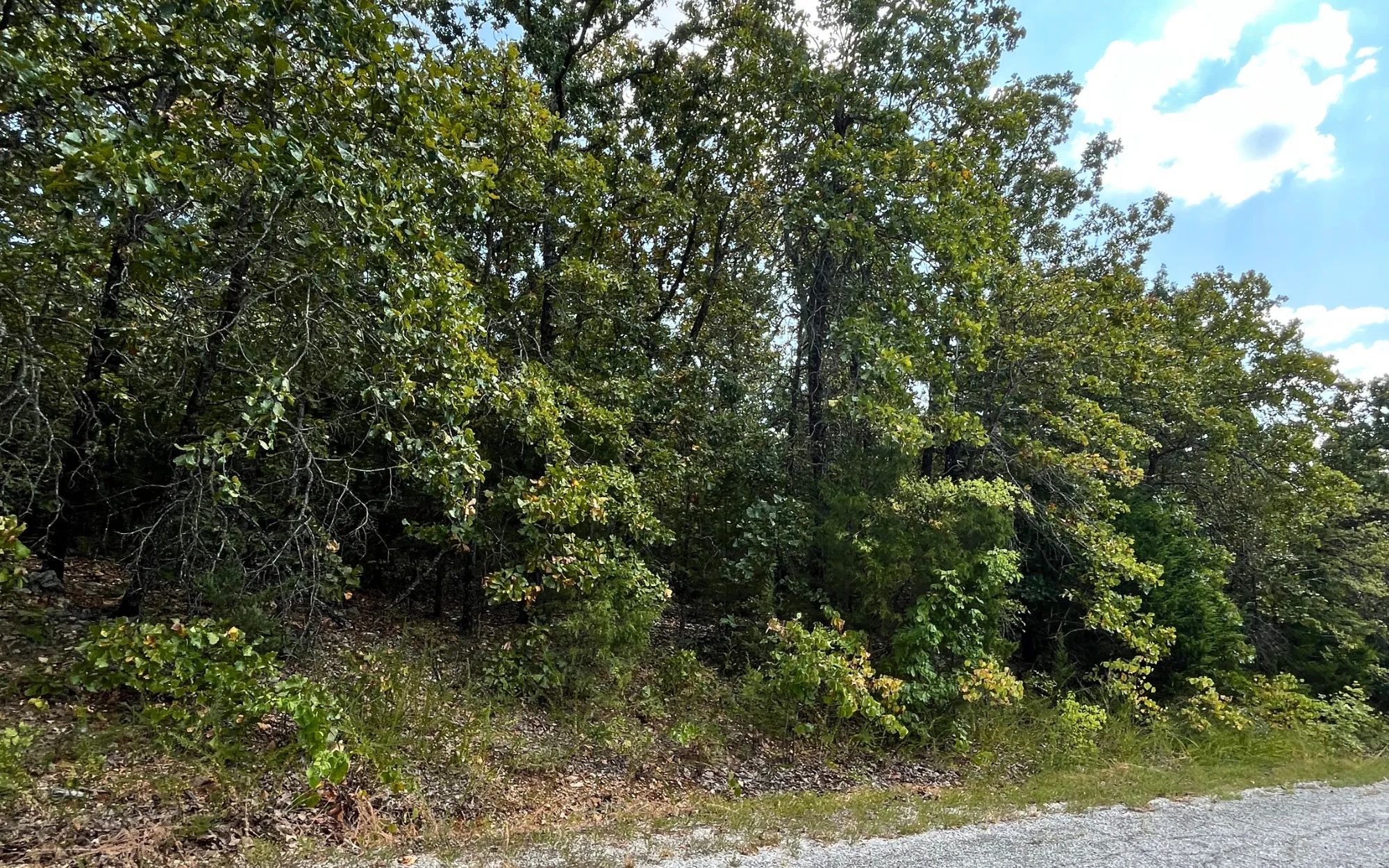Your 0.43-Acre Ozarks Escape Starts Here! in Izard County, AR