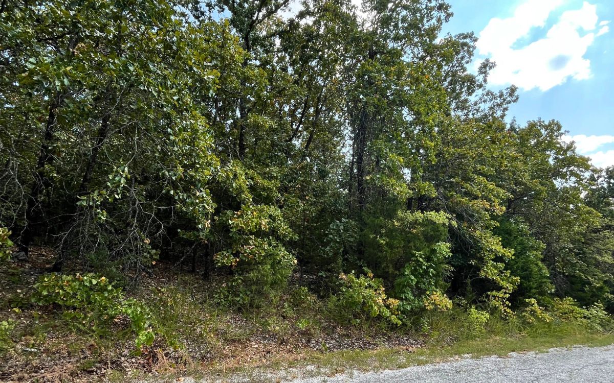 Your 0.43-Acre Ozarks Escape Starts Here! - Image 4