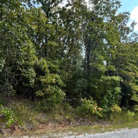 Your 0.43-Acre Ozarks Escape Starts Here! in Izard County, AR
