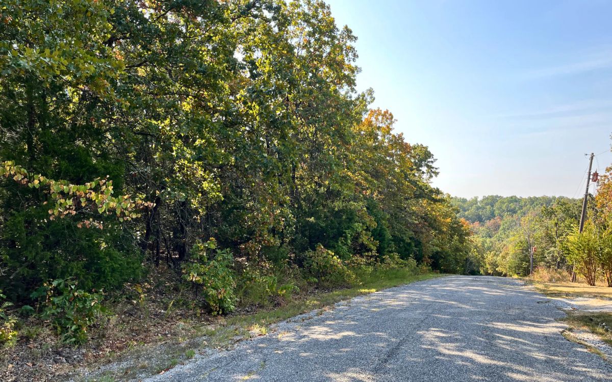Decorative background for Your 0.43-Acre Ozarks Escape Starts Here! image 5