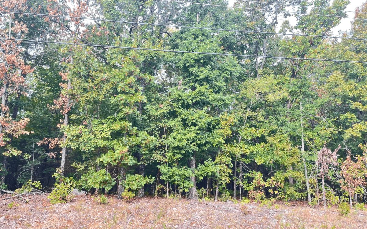 0.45-Acre Ready-to-Build Lot Near Pioneer Lake - Image 2