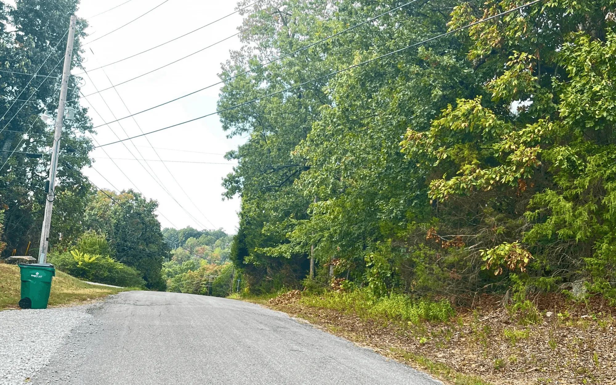 0.45-Acre Ready-to-Build Lot Near Pioneer Lake in Izard County, AR
