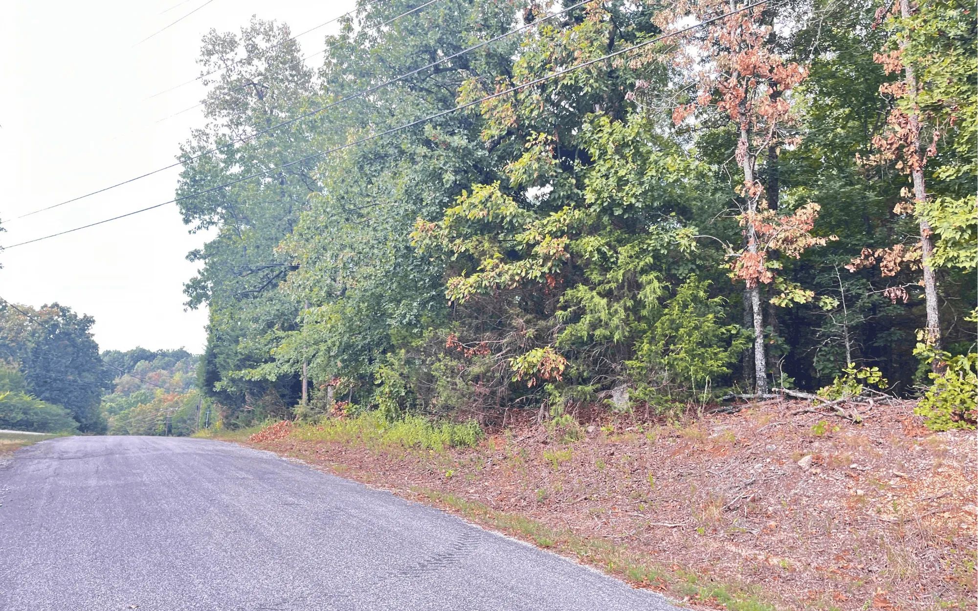 0.45-Acre Ready-to-Build Lot Near Pioneer Lake in Izard County, AR