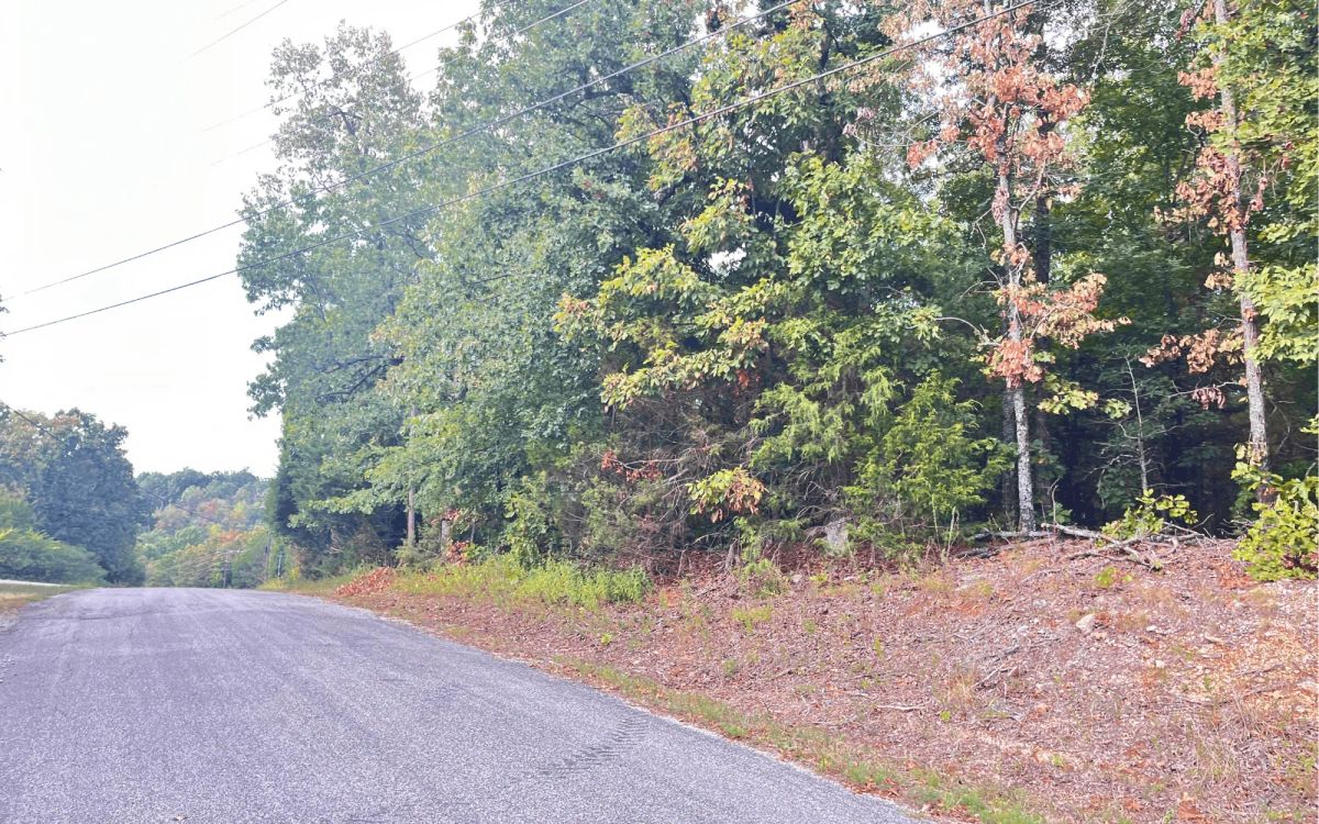 0.45-Acre Ready-to-Build Lot Near Pioneer Lake - Image 4