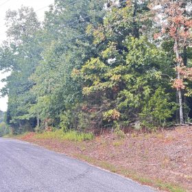 0.45-Acre Ready-to-Build Lot Near Pioneer Lake in Izard County, AR