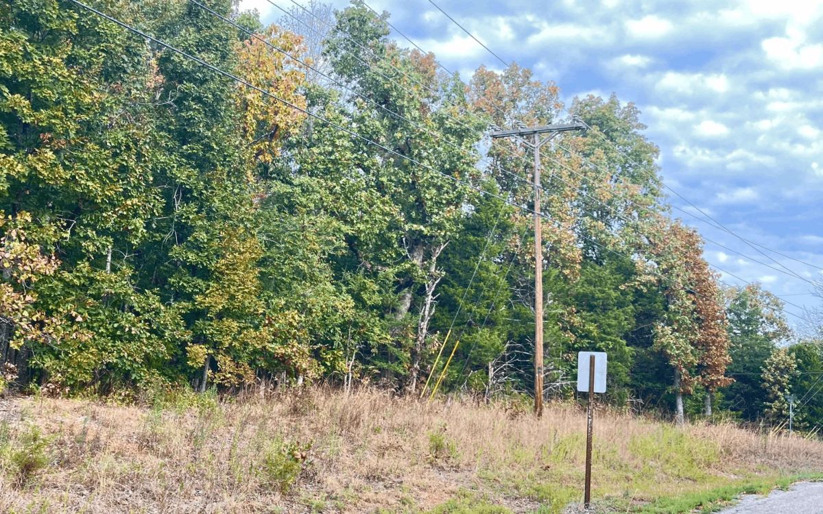 Decorative background for 0.45-Acre Ready-to-Build Lot Near Pioneer Lake image 5