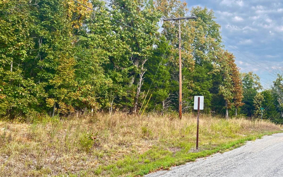 Decorative background for 0.45-Acre Ready-to-Build Lot Near Pioneer Lake image 6