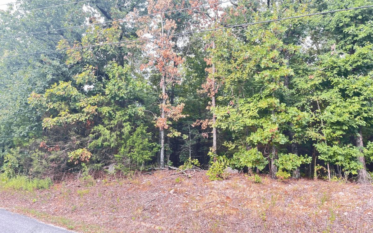 Decorative background for 0.45-Acre Ready-to-Build Lot Near Pioneer Lake image 7