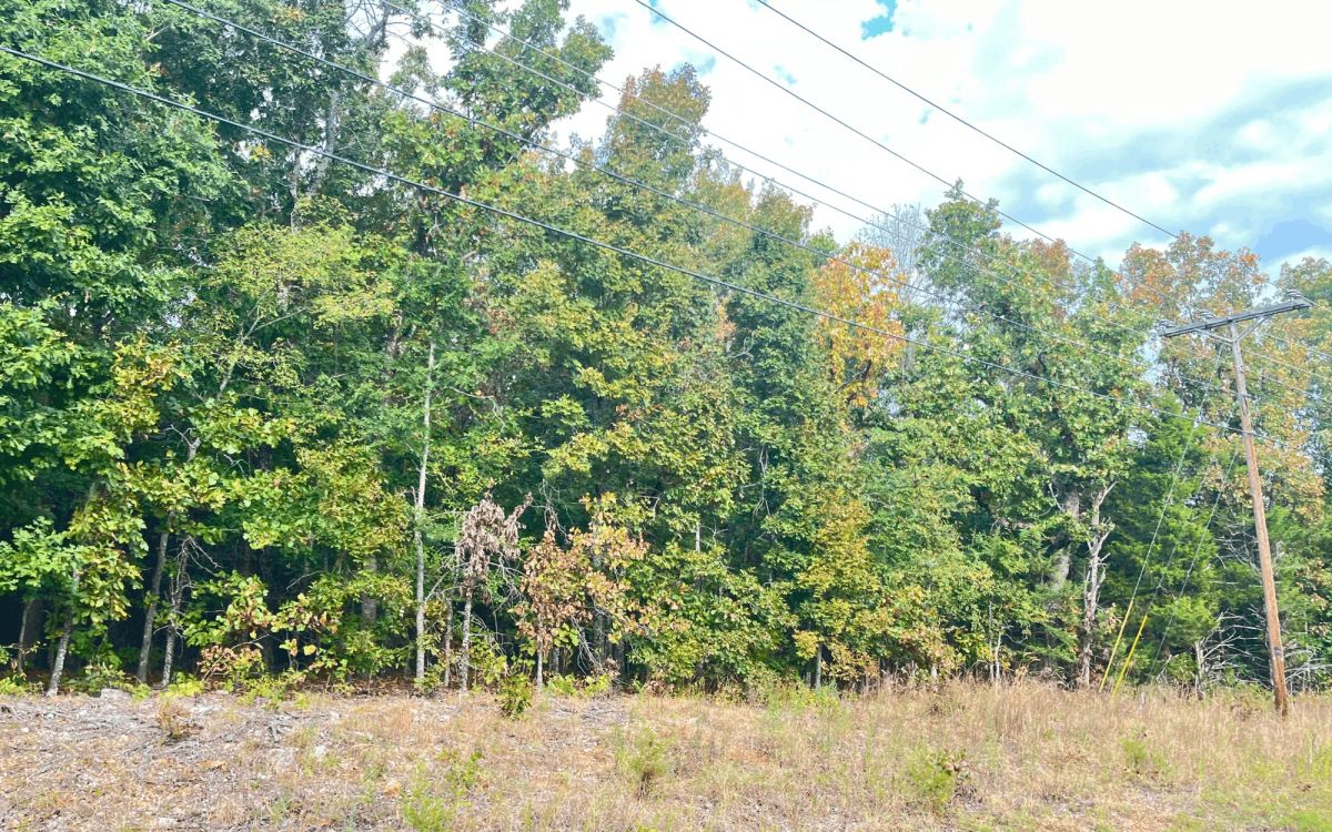 Decorative background for 0.45-Acre Ready-to-Build Lot Near Pioneer Lake image 8