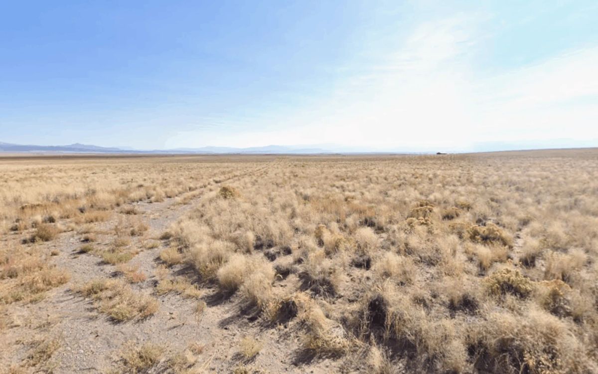 Decorative background for Your 4.76-Acre Private Colorado Getaway Is Here! image 5