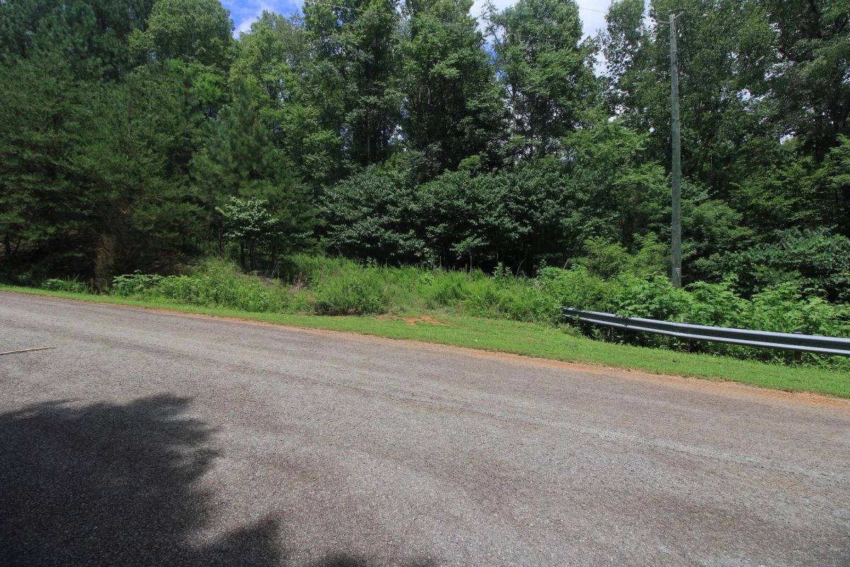 Decorative background for A Private Woodland Retreat Near Leesville Lake image 10