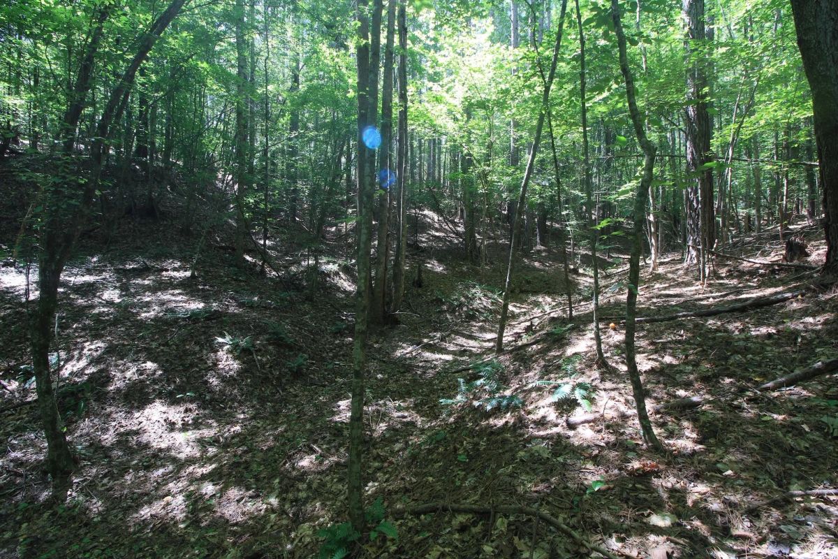 Decorative background for A Private Woodland Retreat Near Leesville Lake image 14