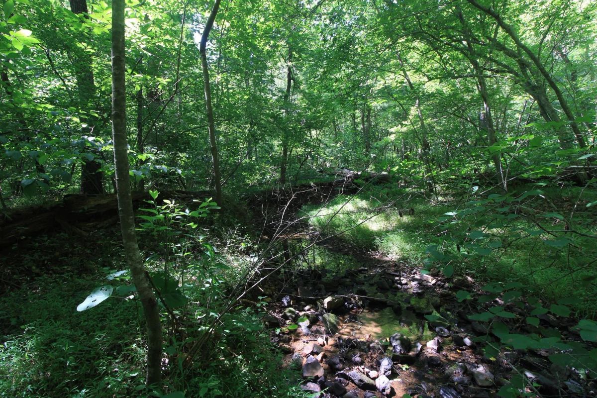 Decorative background for A Private Woodland Retreat Near Leesville Lake image 19