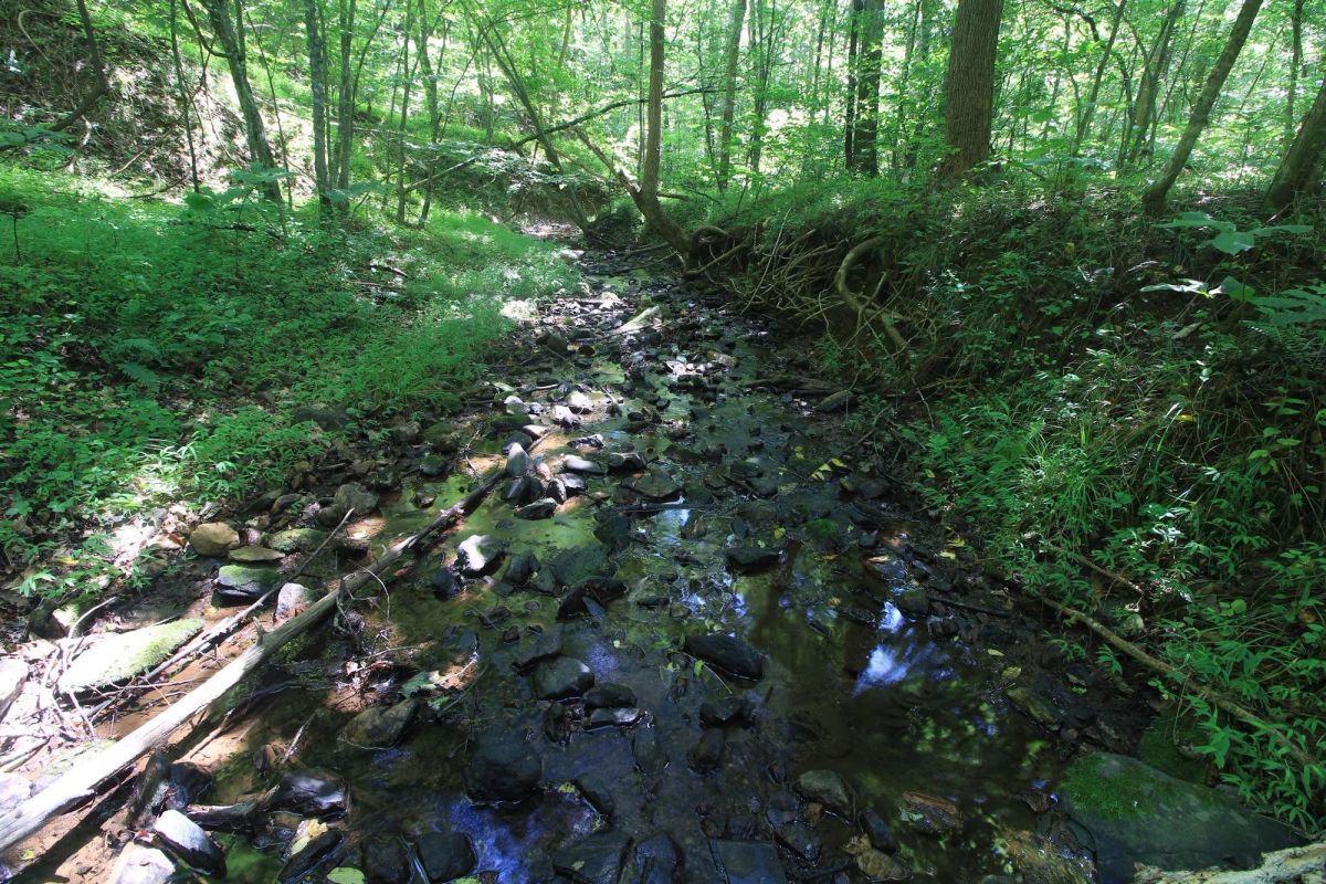 Decorative background for A Private Woodland Retreat Near Leesville Lake image 21