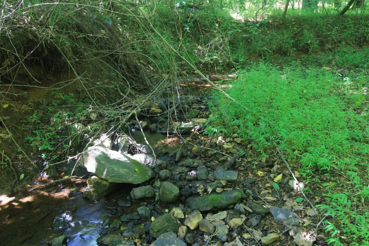 Decorative background for A Private Woodland Retreat Near Leesville Lake image 22
