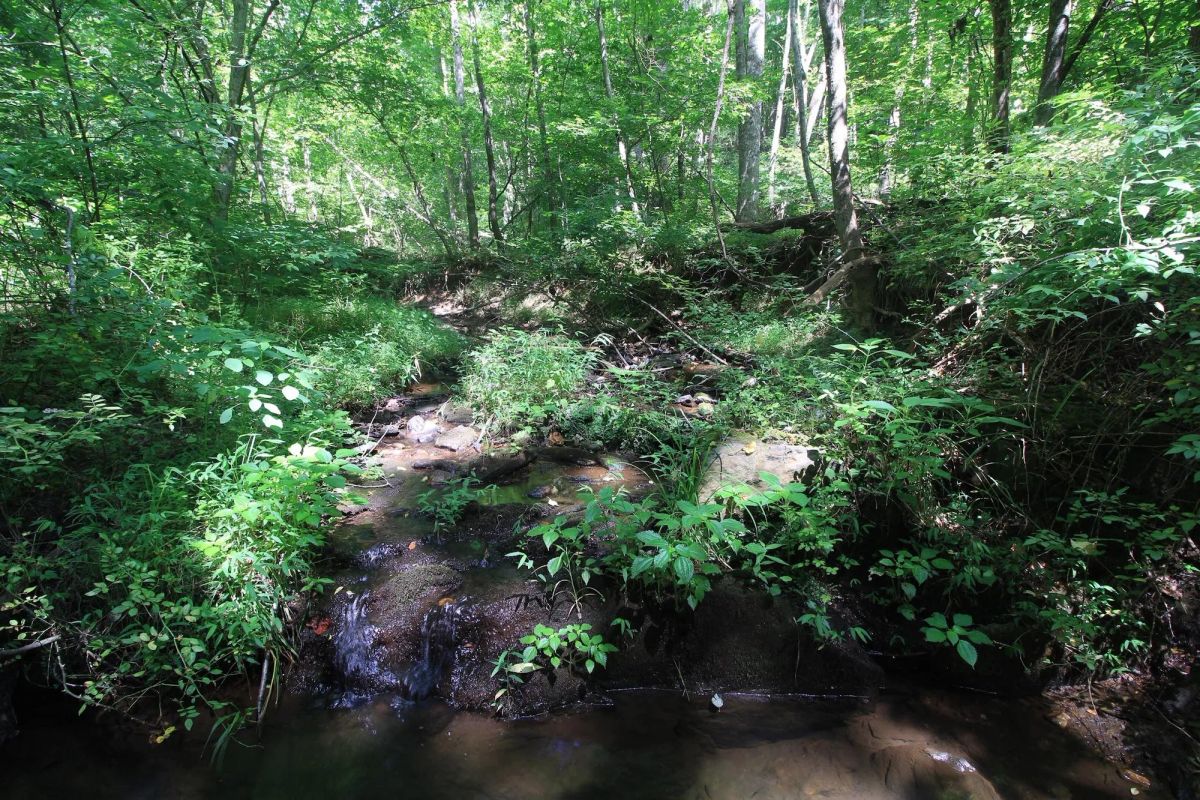 Decorative background for A Private Woodland Retreat Near Leesville Lake image 23