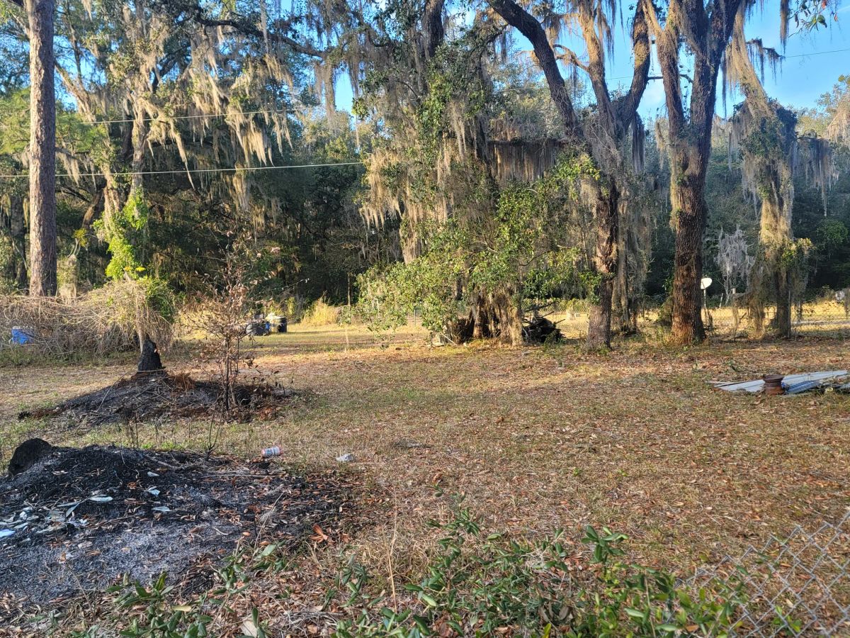Agricultural Quarter-Acre in Crescent City, FL - Main image