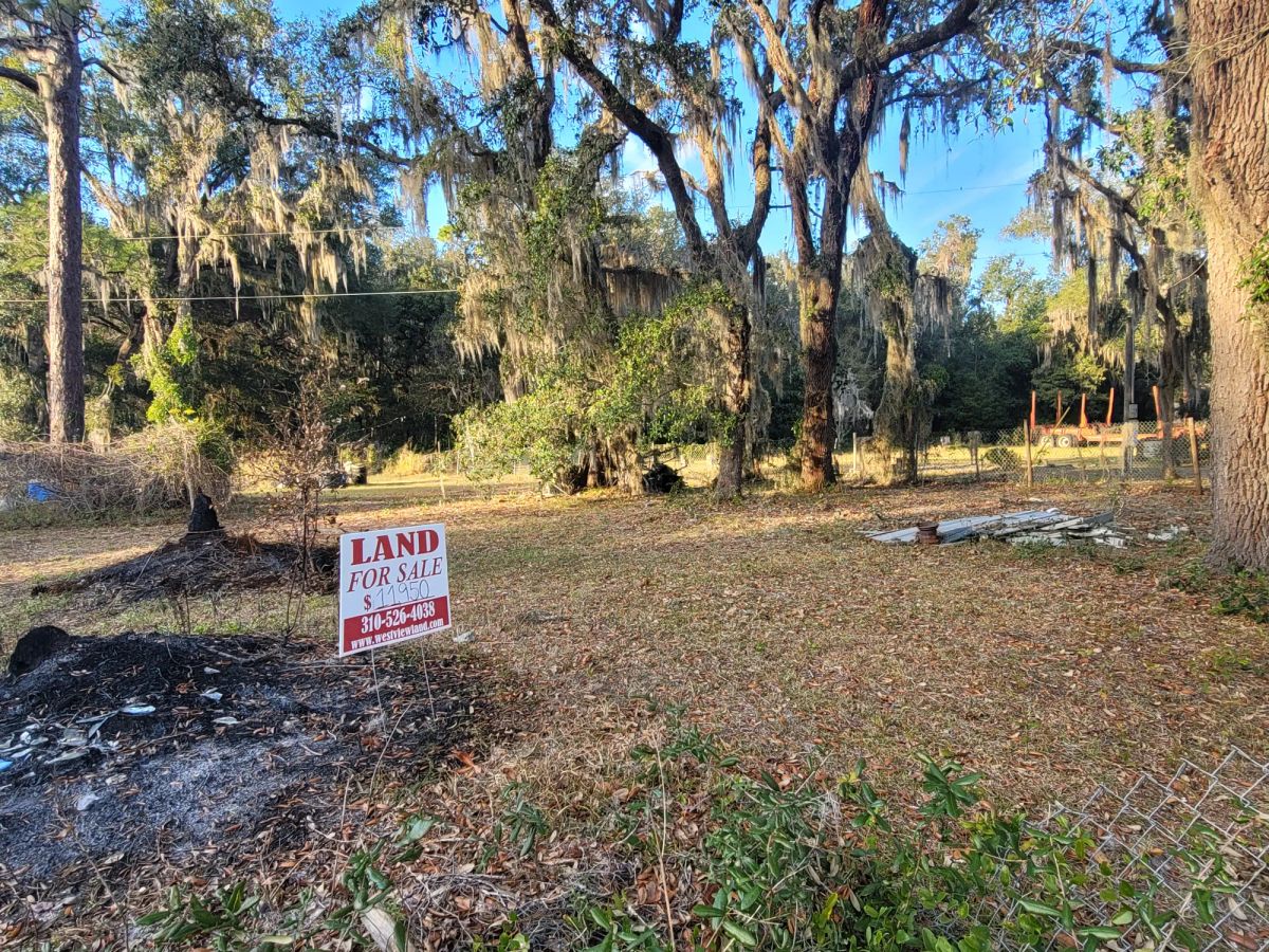 Agricultural Quarter-Acre in Crescent City, FL - Image 2