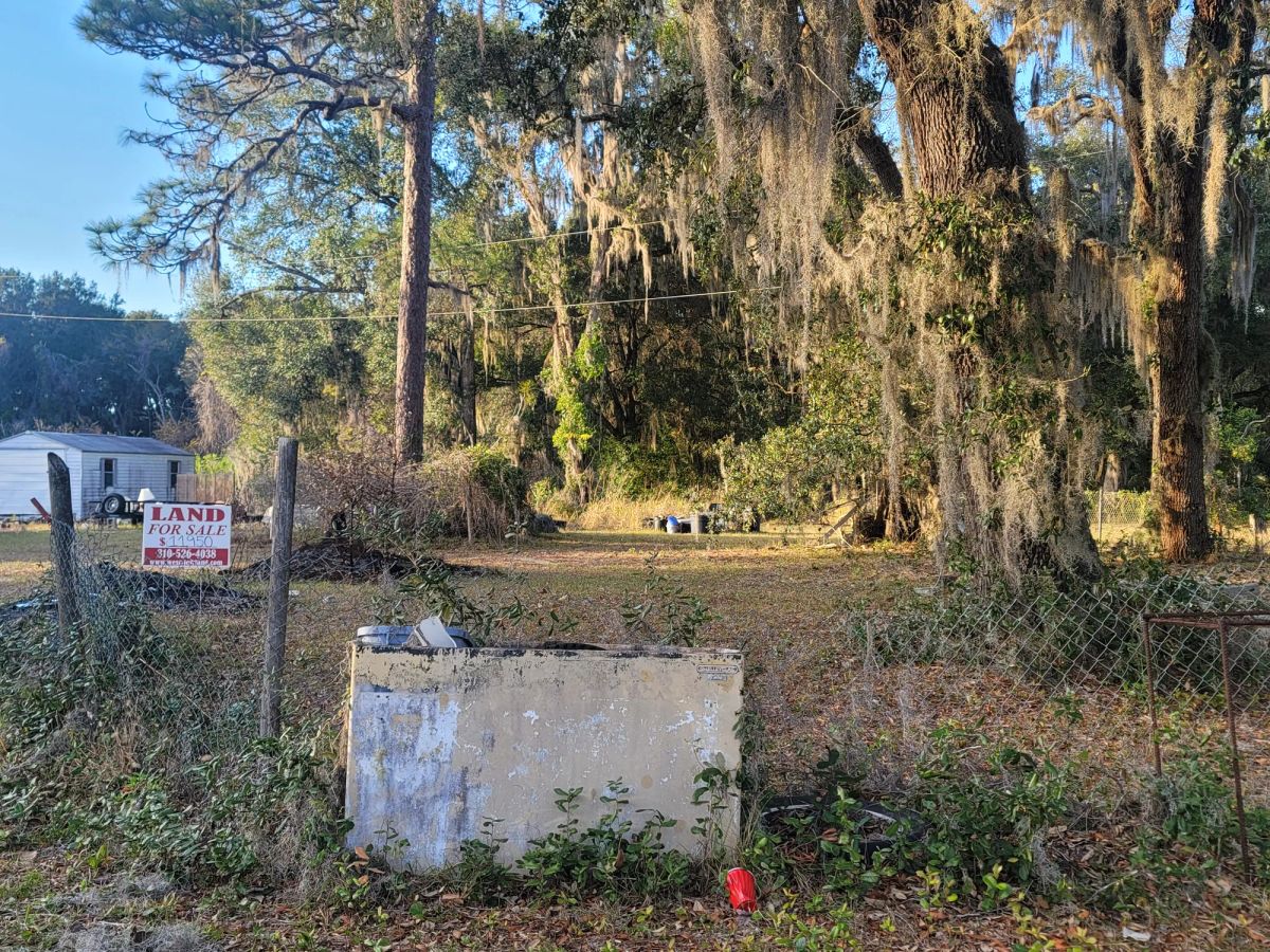 Agricultural Quarter-Acre in Crescent City, FL - Image 3