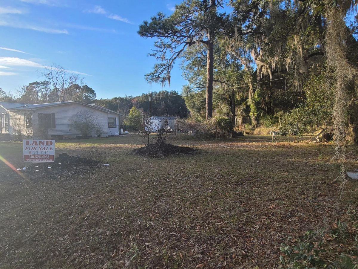 Agricultural Quarter-Acre in Crescent City, FL - Image 4