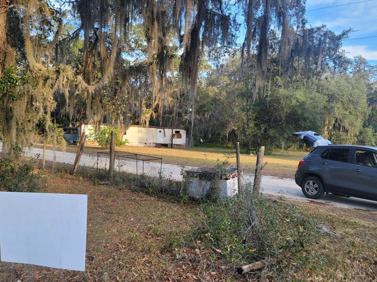 Decorative background for Agricultural Quarter-Acre in Crescent City, FL image 6