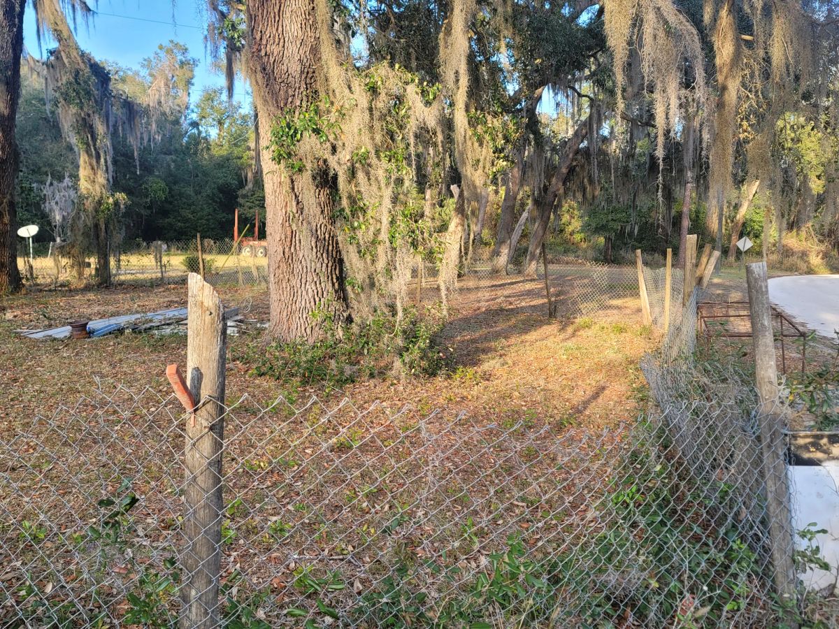 Decorative background for Agricultural Quarter-Acre in Crescent City, FL image 7