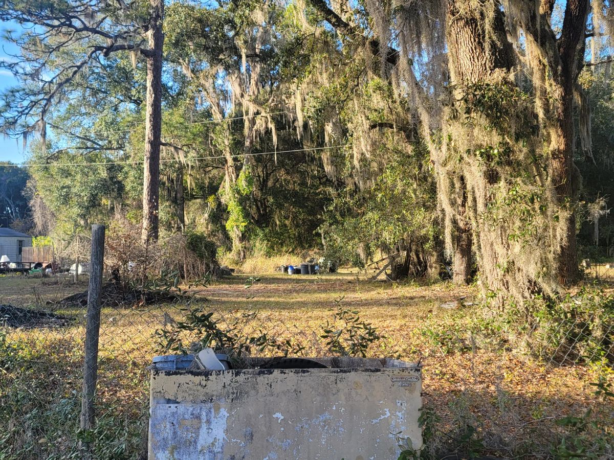 Decorative background for Agricultural Quarter-Acre in Crescent City, FL image 8